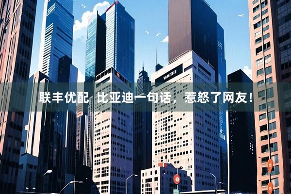 联丰优配  比亚迪一句话，惹怒了网友！