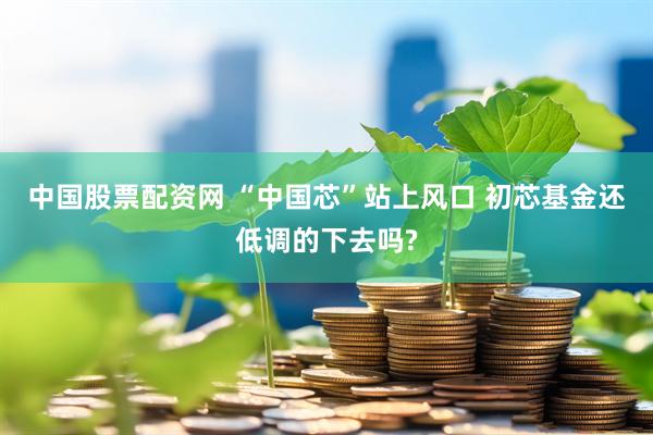 中国股票配资网 “中国芯”站上风口 初芯基金还低调的下去吗?