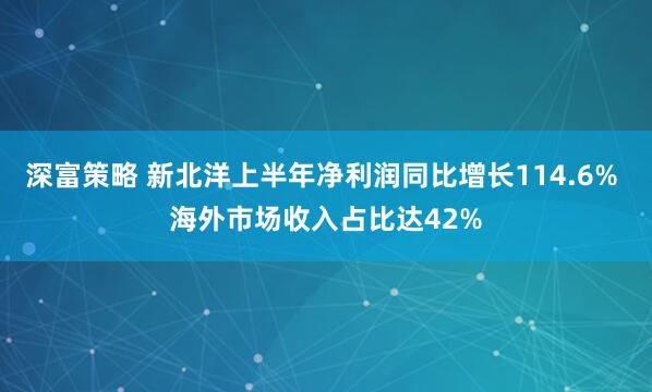 深富策略 新北洋上半年净利润同比增长114.6% 海外市场收入占比达42%